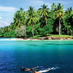 Papua New Guinea